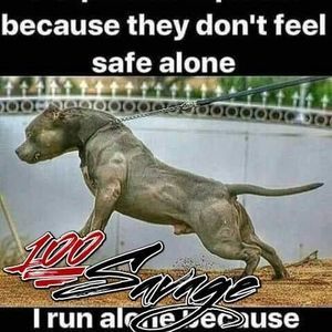 Meet your Posher, Gary